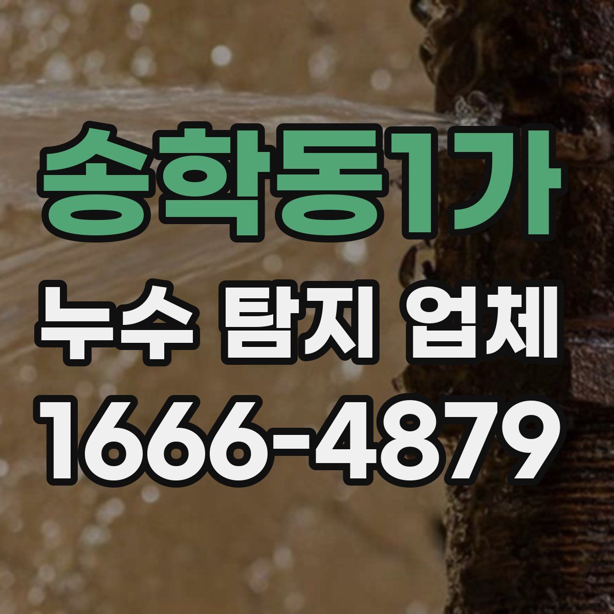 송학동1가 누수 탐지 업체
