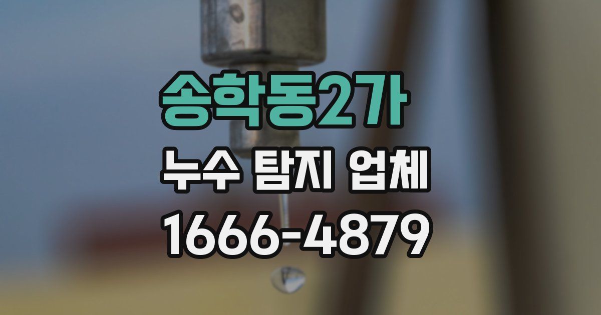 송학동2가 누수 탐지 업체