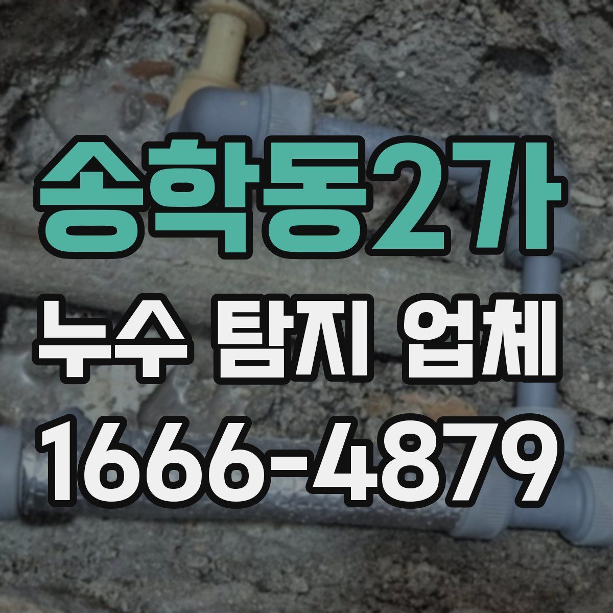 송학동2가 누수 탐지 업체