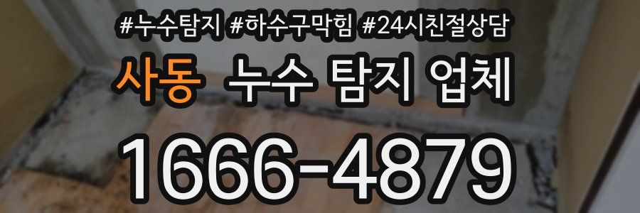 사동 누수 탐지 업체