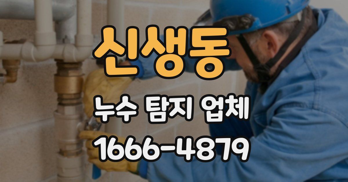 신생동 누수 탐지 업체
