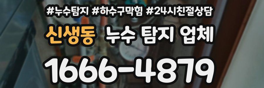 신생동 누수 탐지 업체