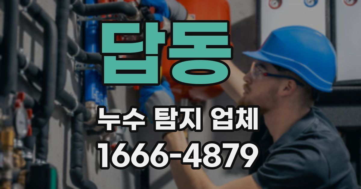 답동 누수 탐지 업체