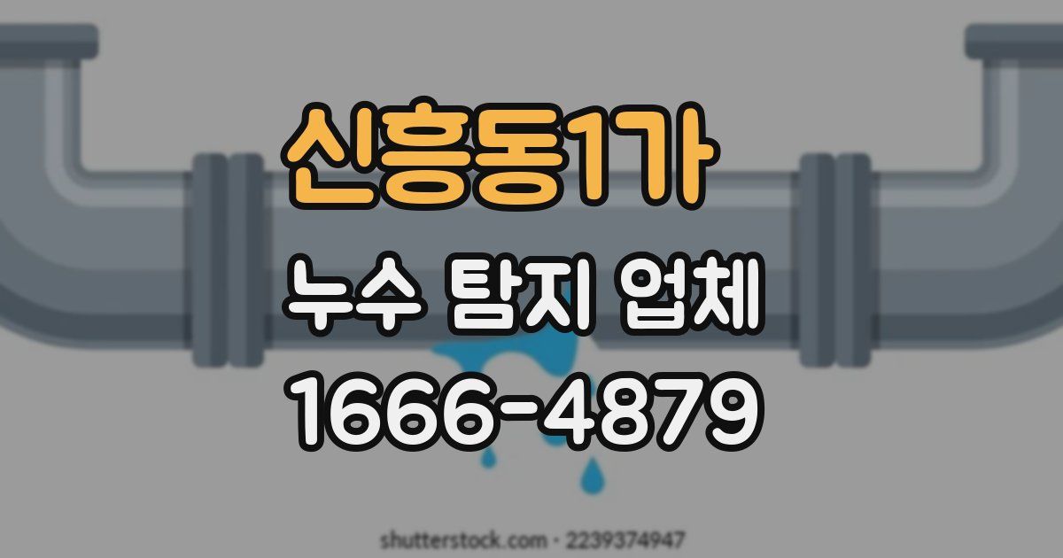신흥동1가 누수 탐지 업체