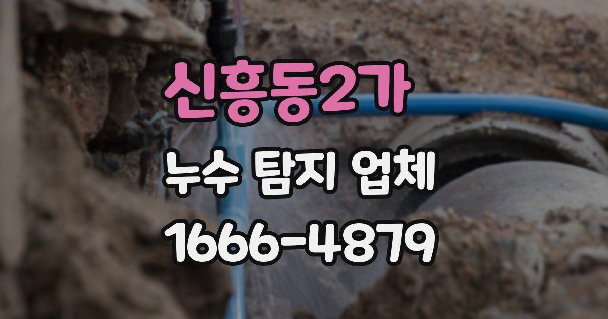 신흥동2가 누수 탐지 업체