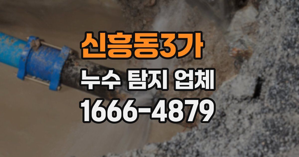 신흥동3가 누수 탐지 업체