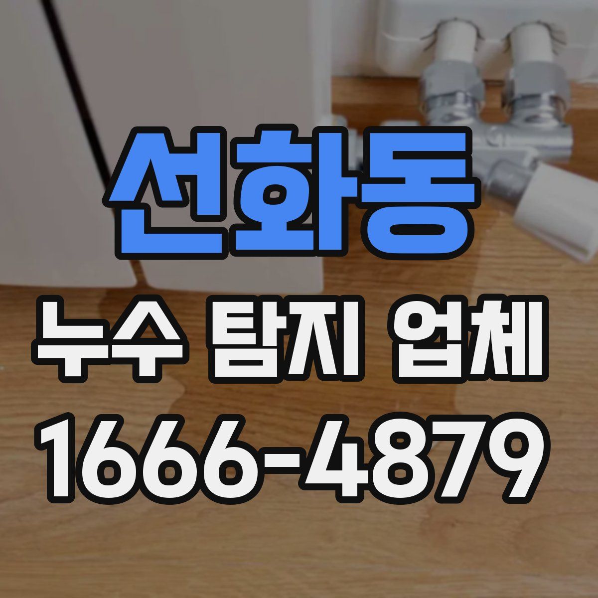 선화동 누수 탐지 업체
