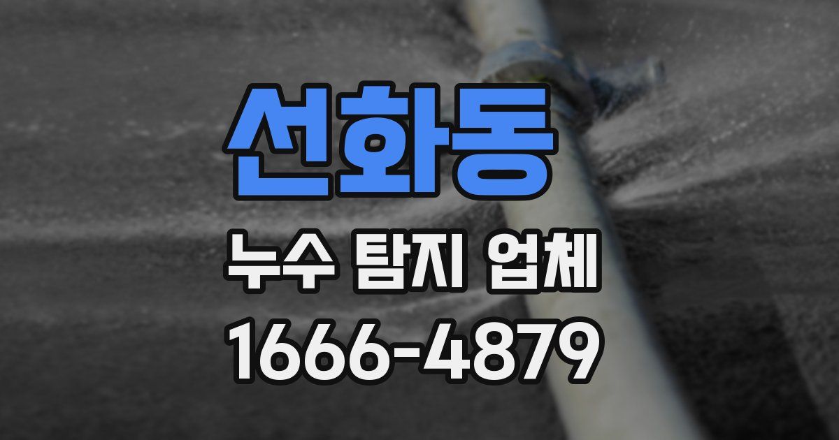 선화동 누수 탐지 업체