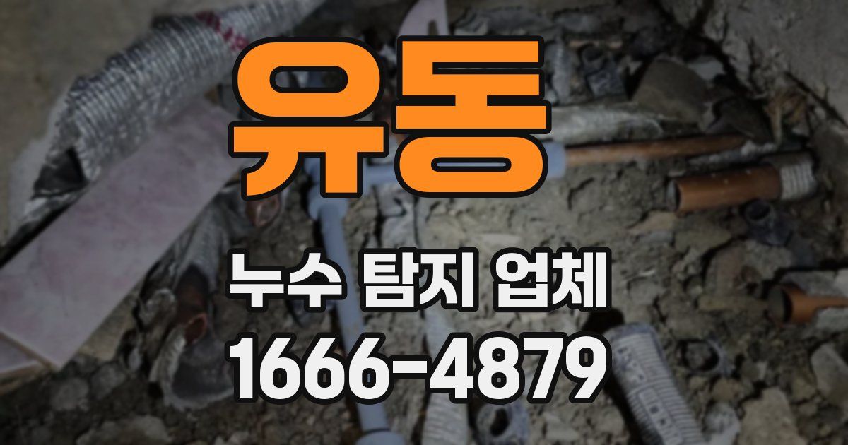 유동 누수 탐지 업체