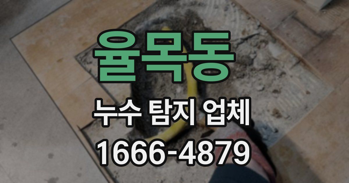 율목동 누수 탐지 업체