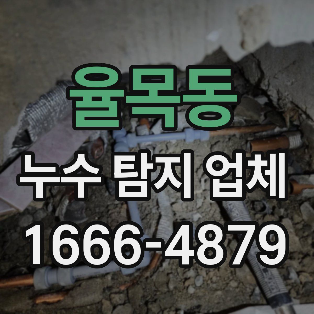 율목동 누수 탐지 업체
