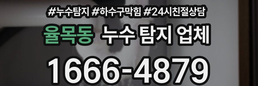 율목동 누수 탐지 업체