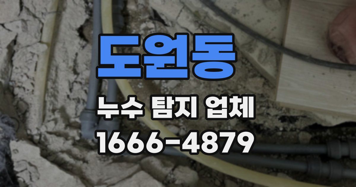 도원동 누수 탐지 업체
