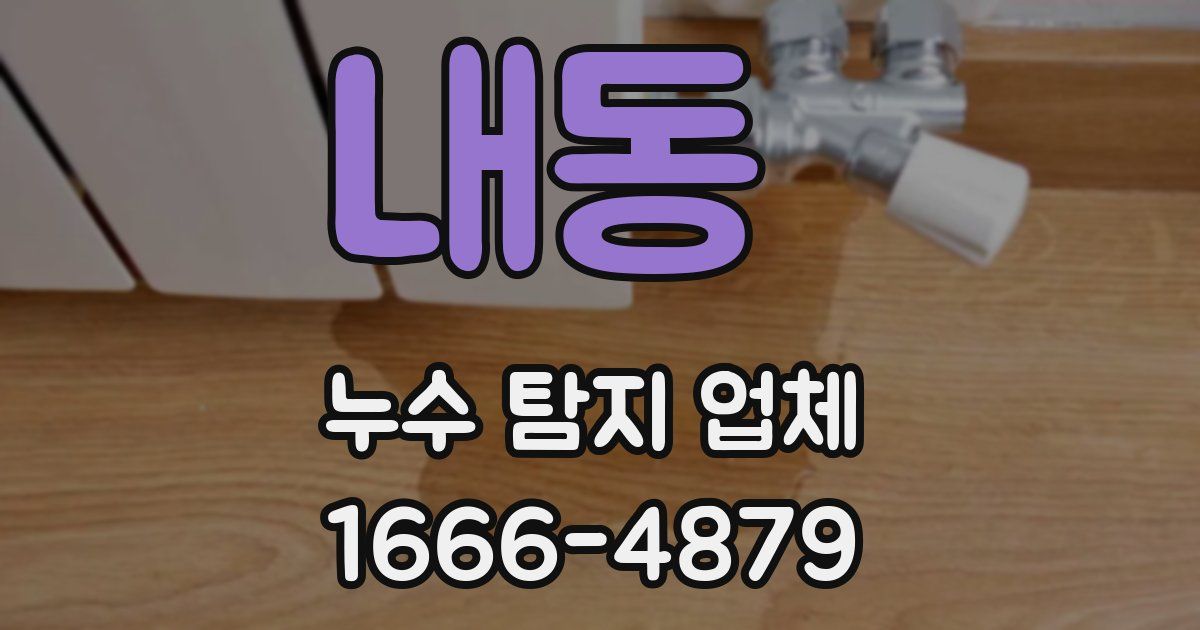 내동 누수 탐지 업체