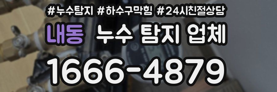 내동 누수 탐지 업체