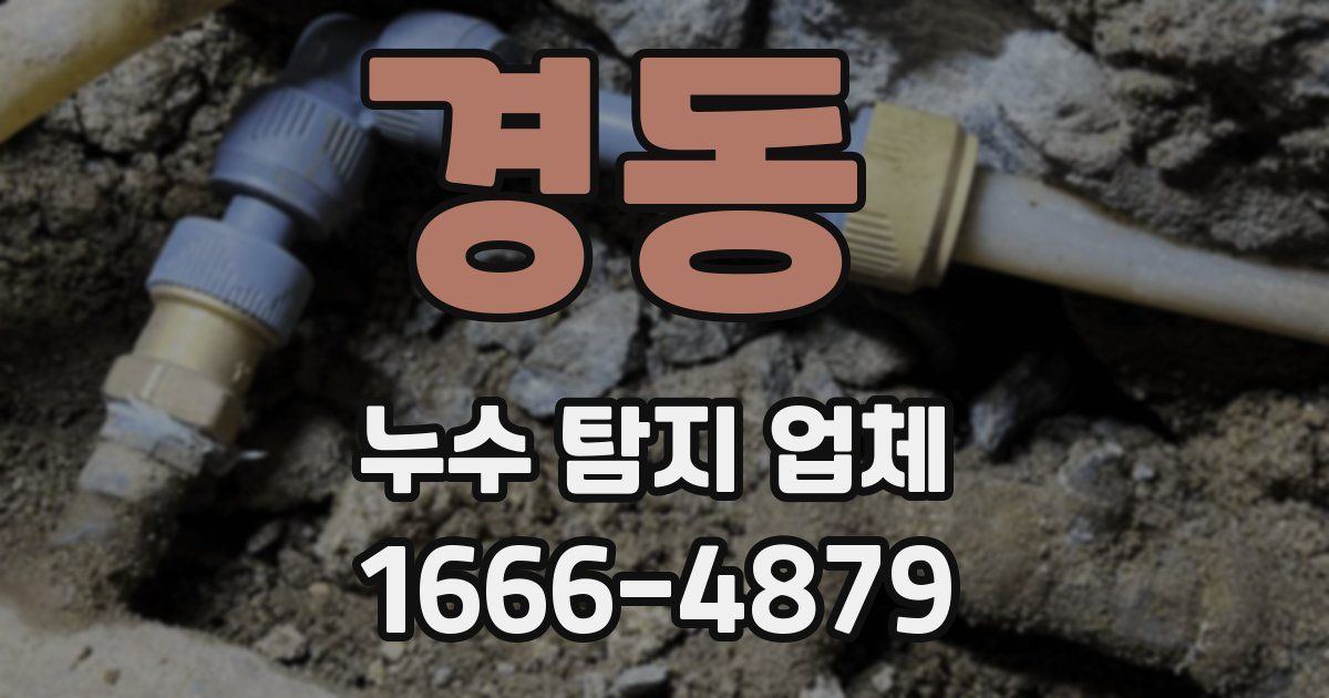경동 누수 탐지 업체