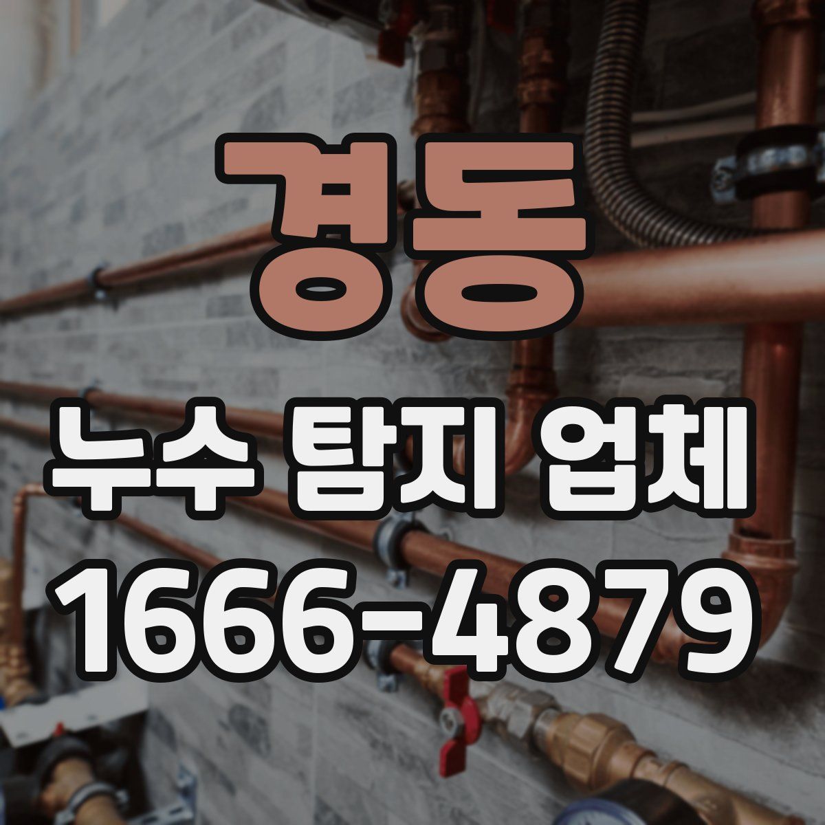 경동 누수 탐지 업체