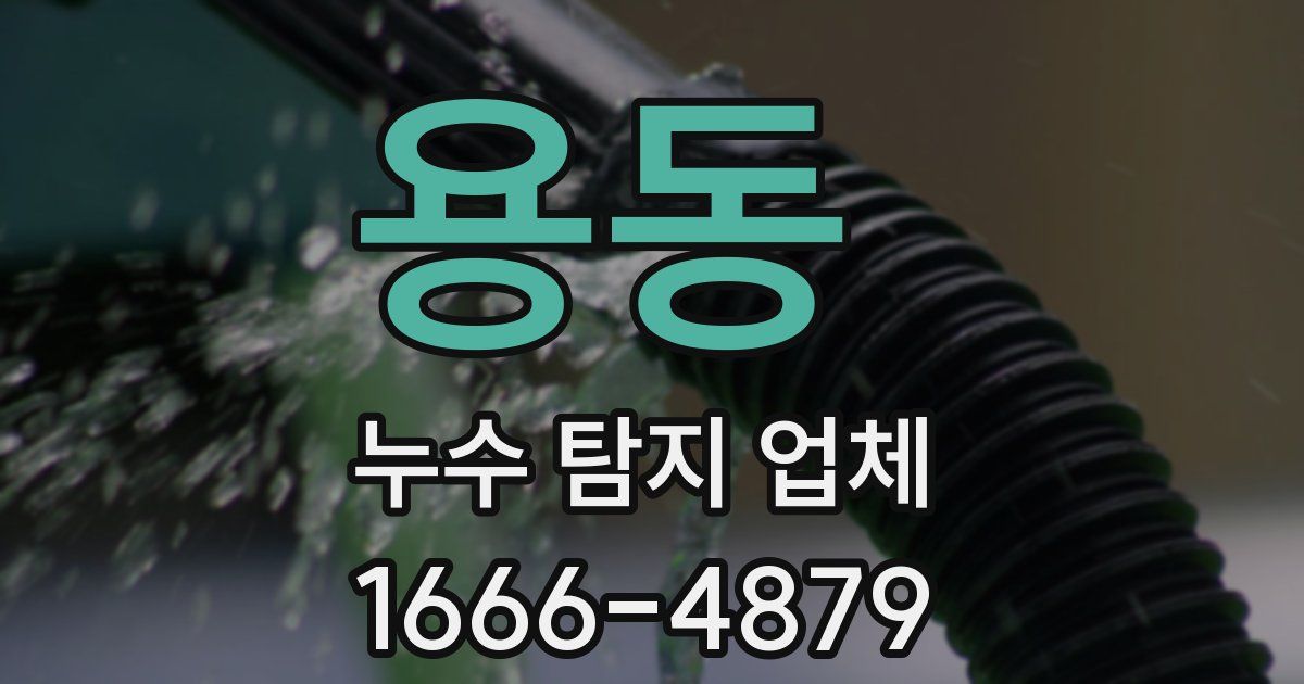 용동 누수 탐지 업체