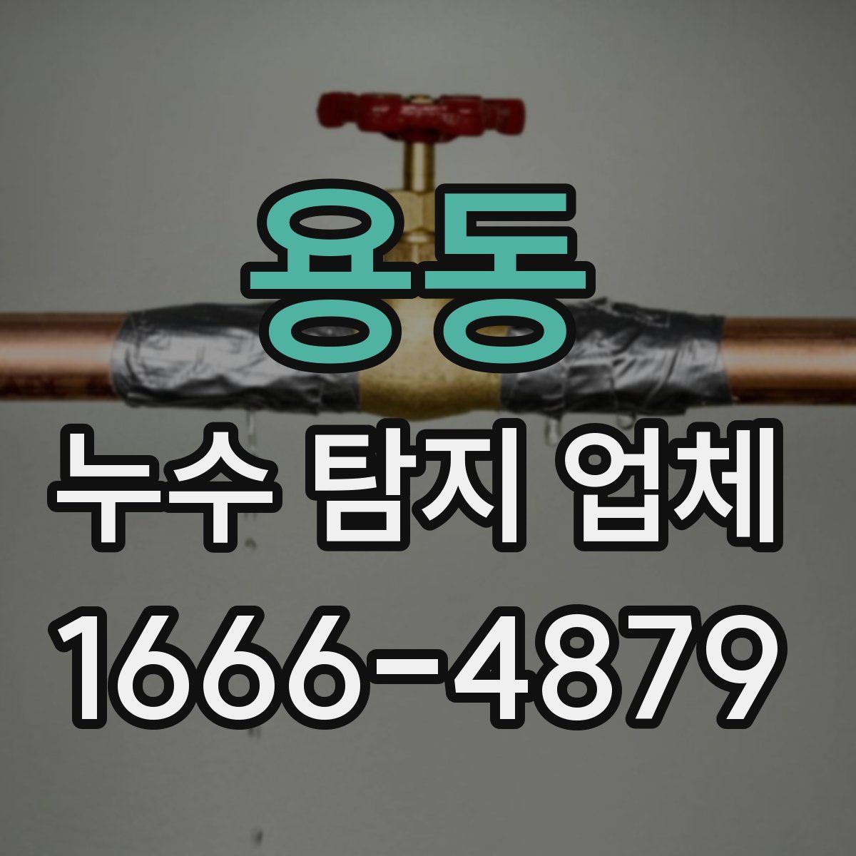 용동 누수 탐지 업체