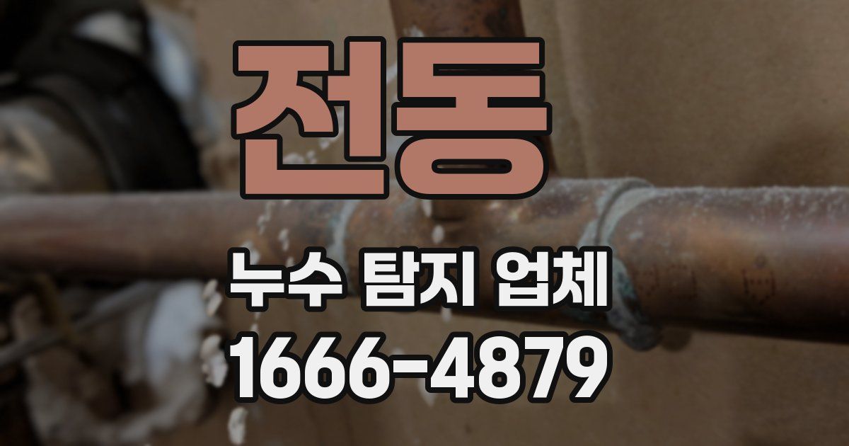 전동 누수 탐지 업체