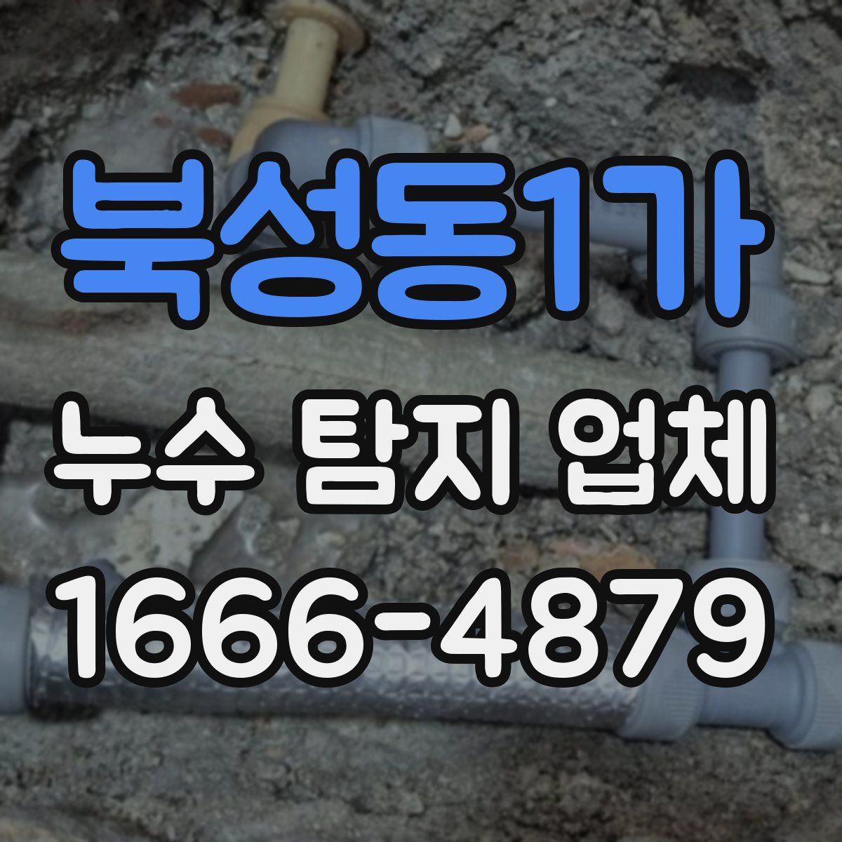북성동1가 누수 탐지 업체