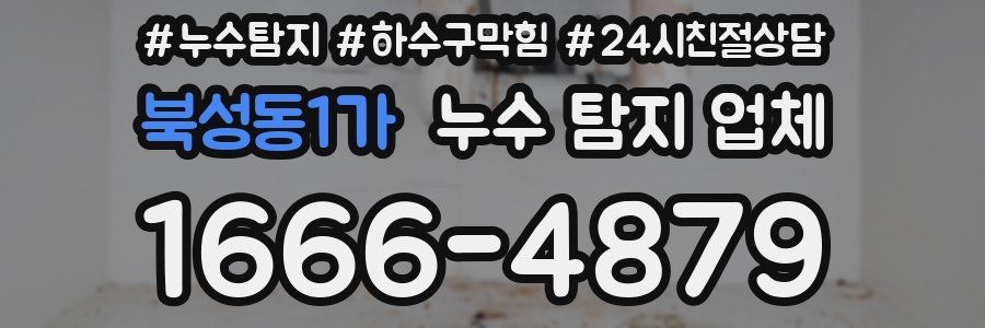북성동1가 누수 탐지 업체