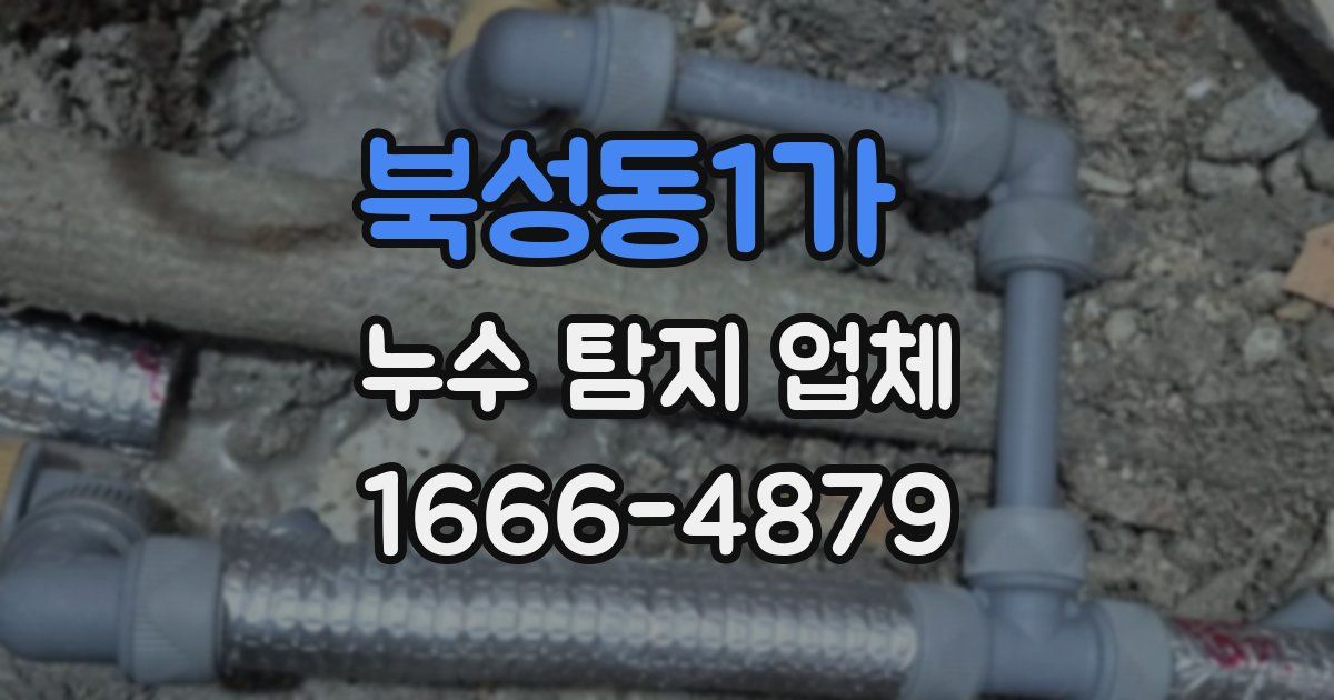 북성동1가 누수 탐지 업체