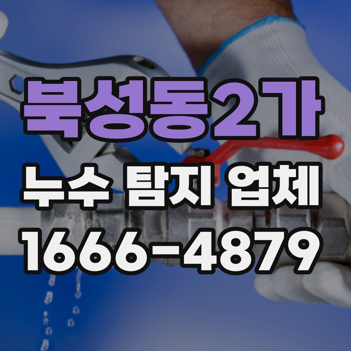 북성동2가 누수 탐지 업체