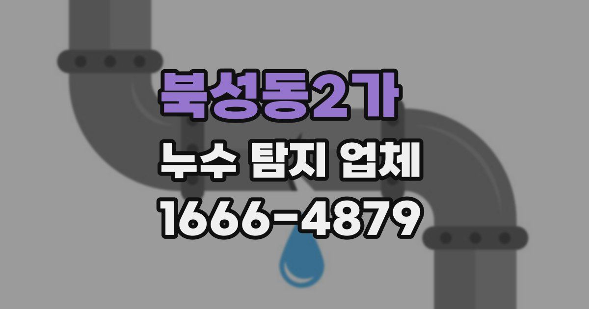 북성동2가 누수 탐지 업체