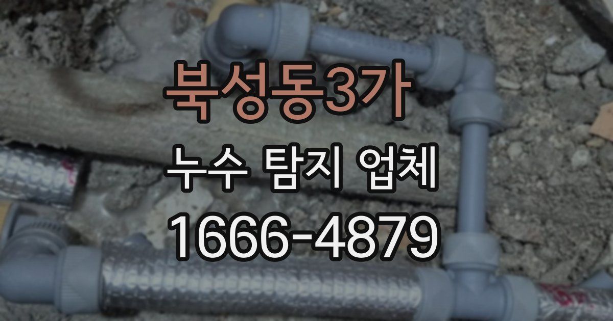 북성동3가 누수 탐지 업체