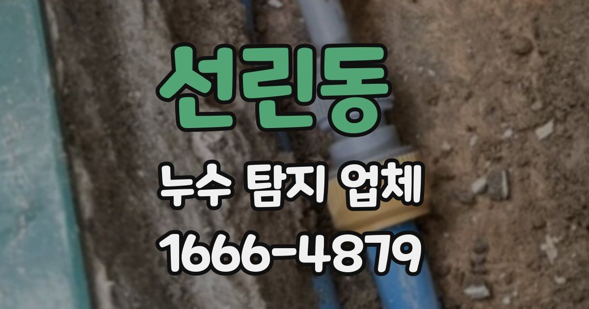 선린동 누수 탐지 업체