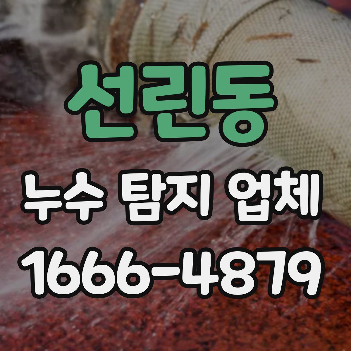 선린동 누수 탐지 업체