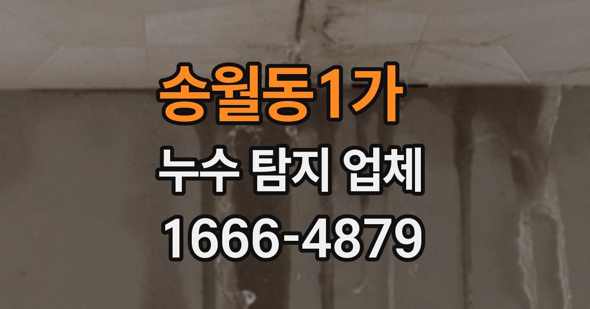 송월동1가 누수 탐지 업체