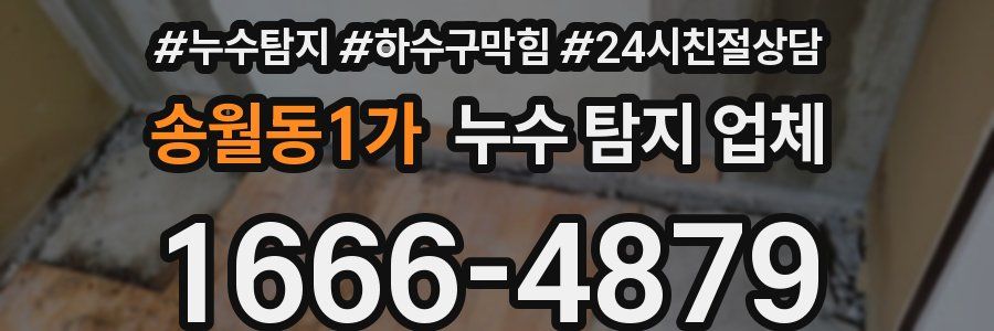 송월동1가 누수 탐지 업체