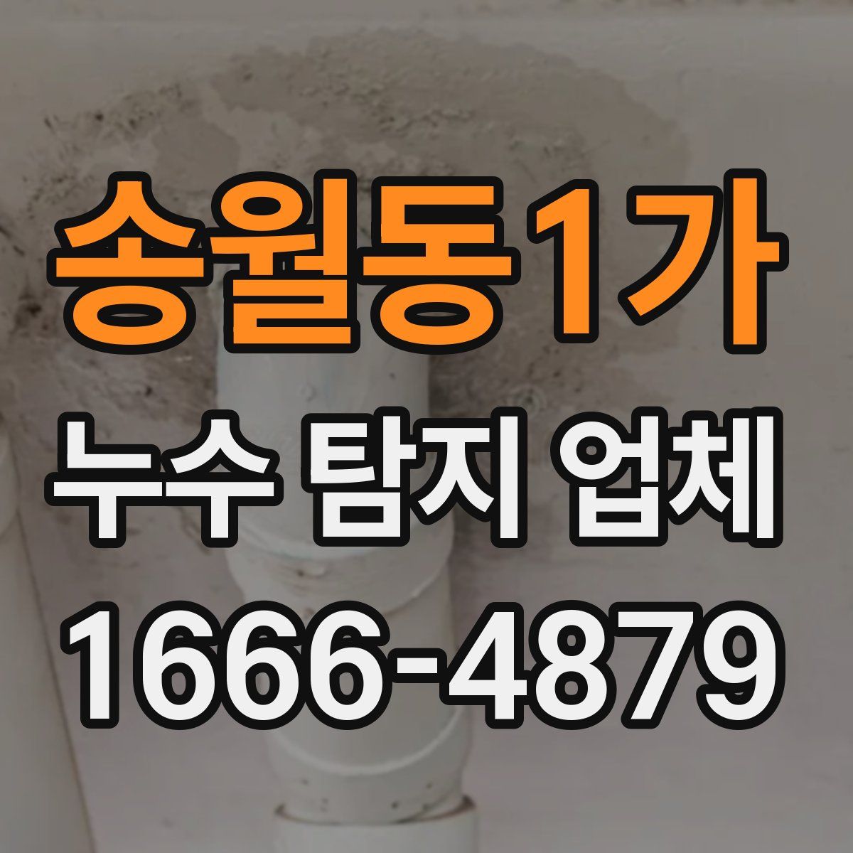송월동1가 누수 탐지 업체