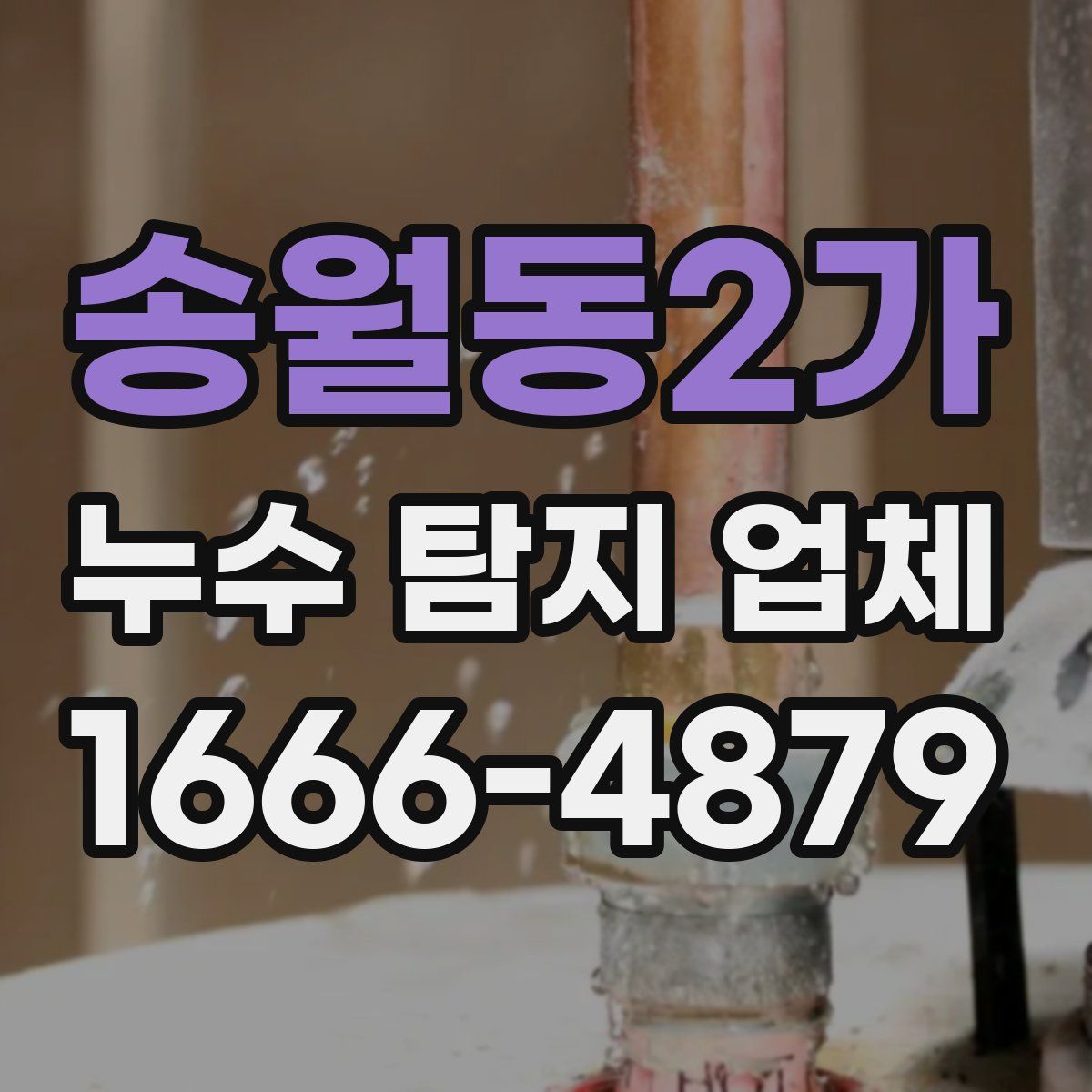 송월동2가 누수 탐지 업체