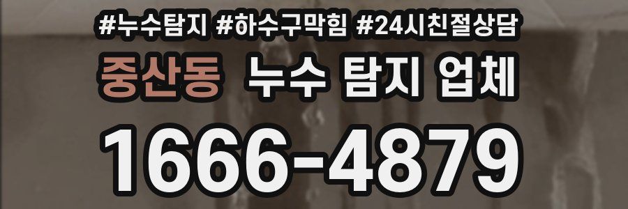 중산동 누수 탐지 업체
