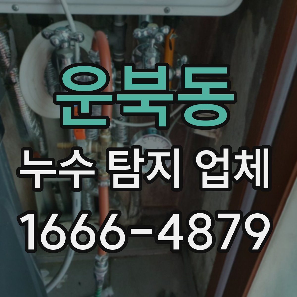 운북동 누수 탐지 업체