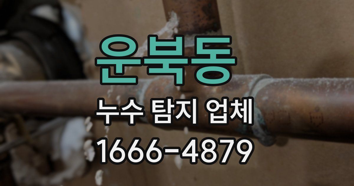 운북동 누수 탐지 업체