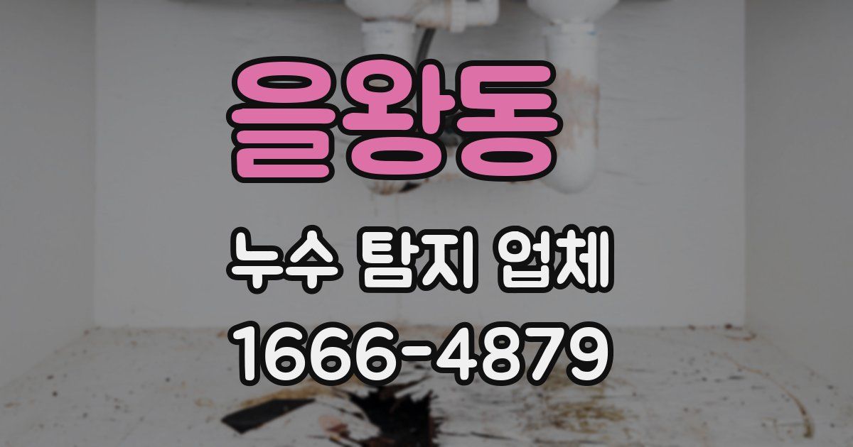 을왕동 누수 탐지 업체