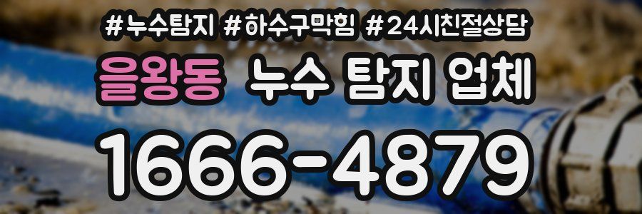 을왕동 누수 탐지 업체