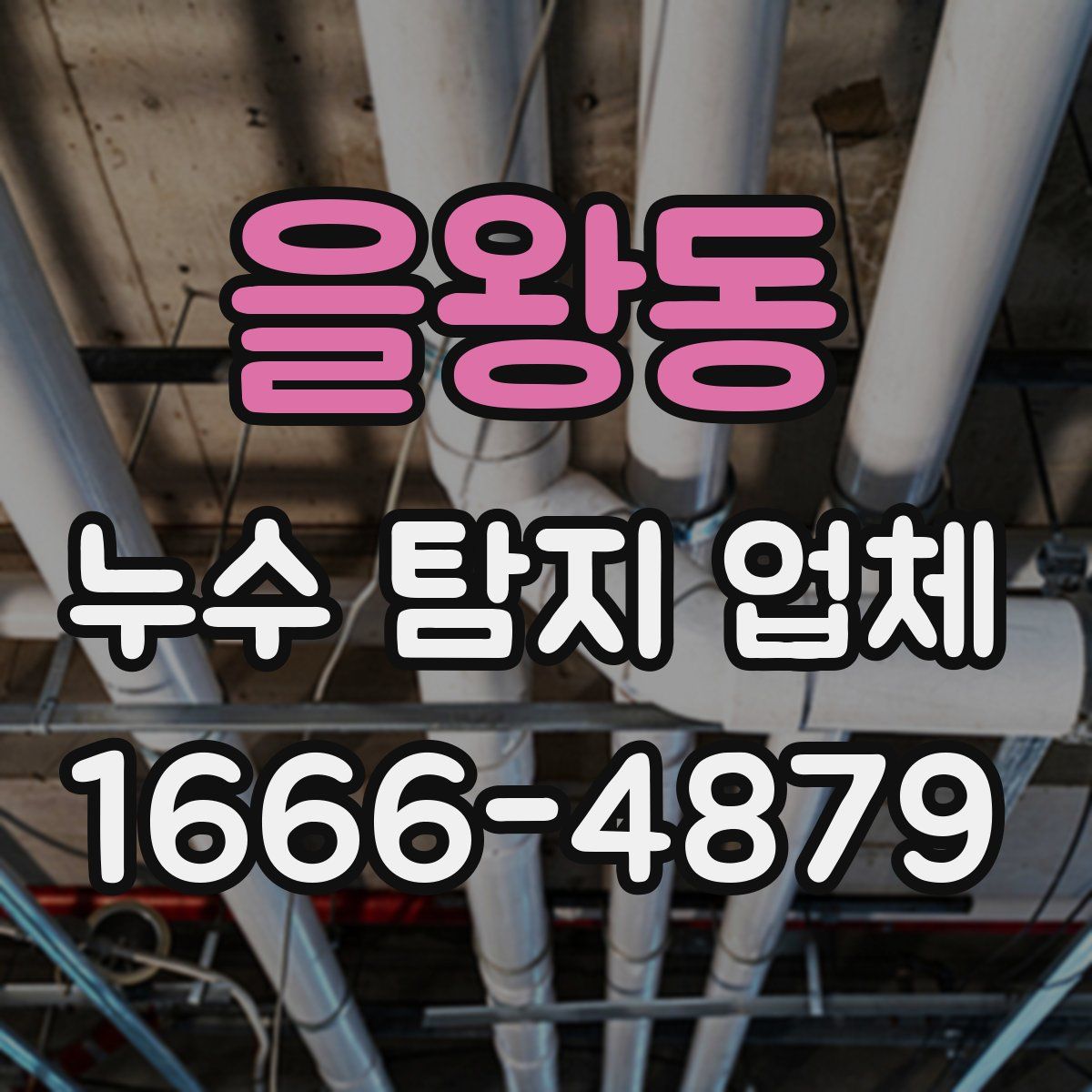 을왕동 누수 탐지 업체