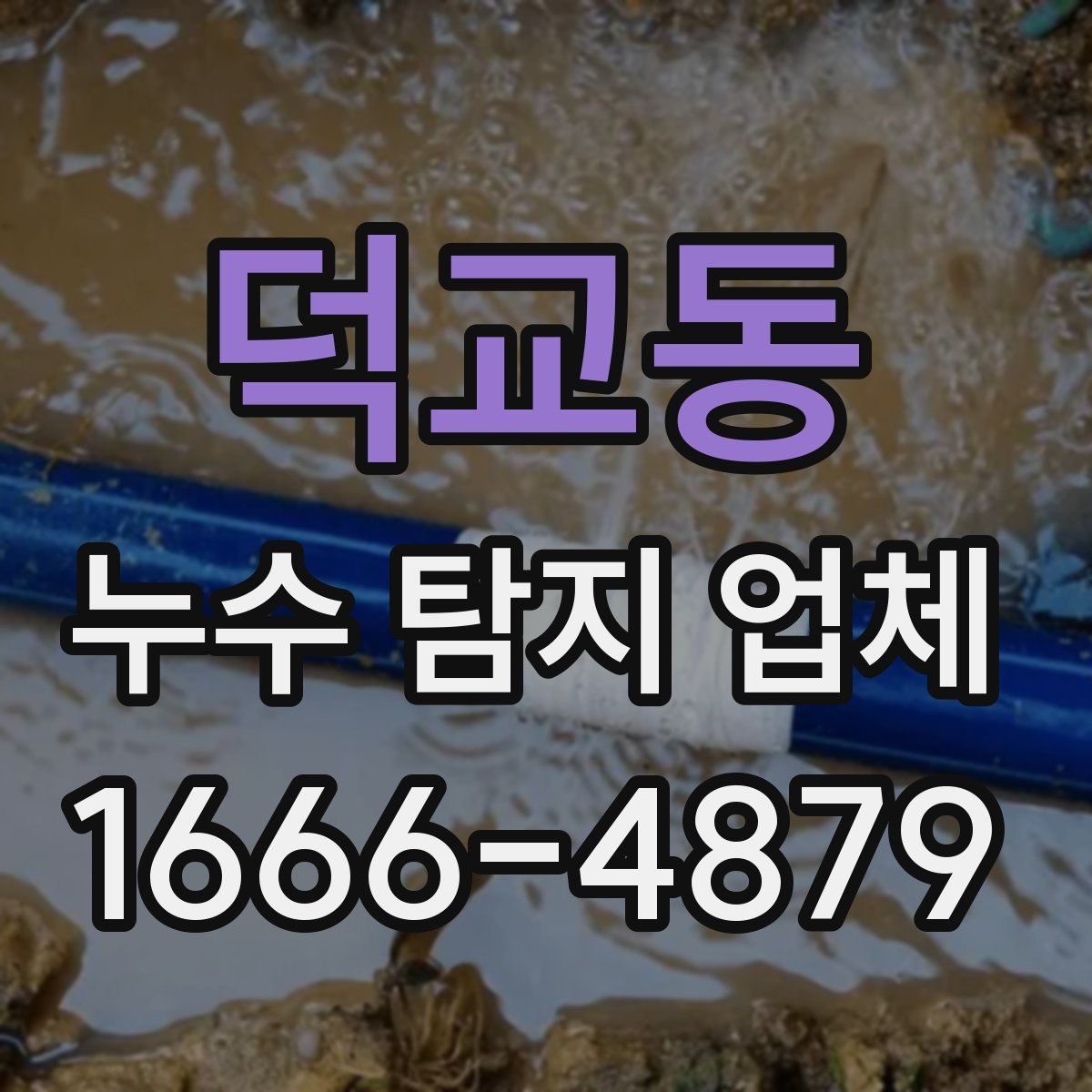 덕교동 누수 탐지 업체