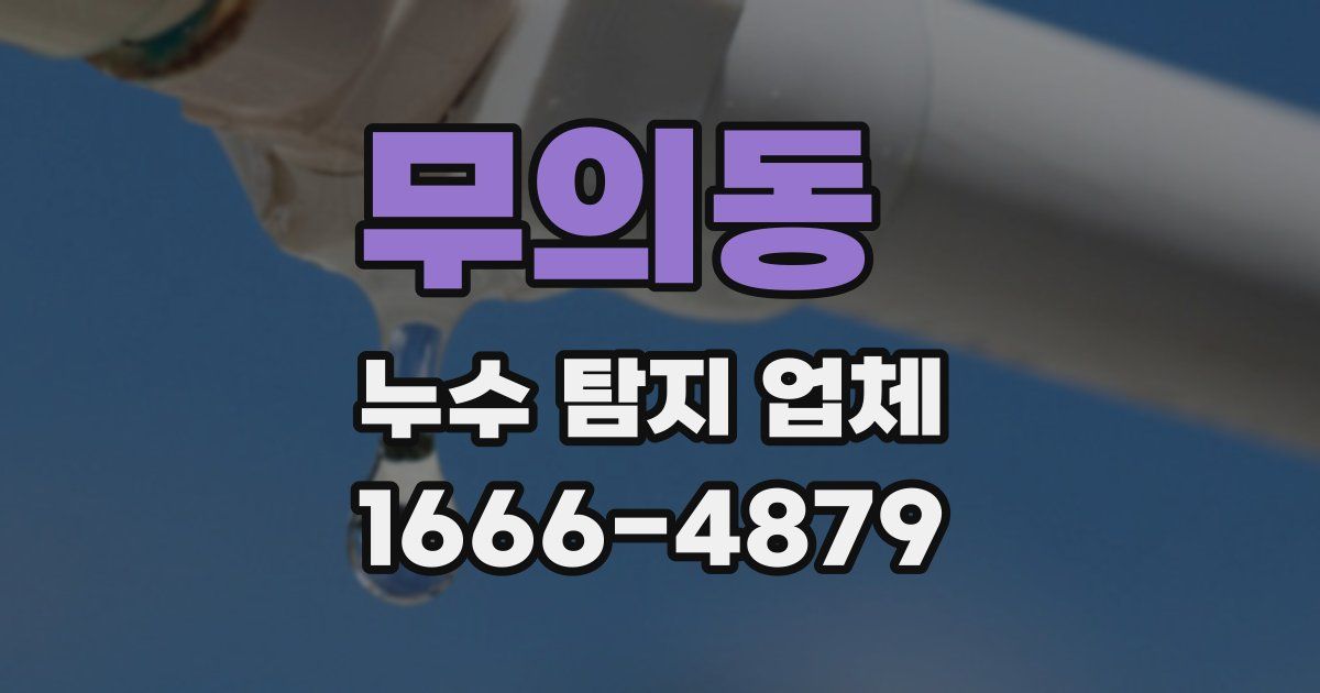 무의동 누수 탐지 업체