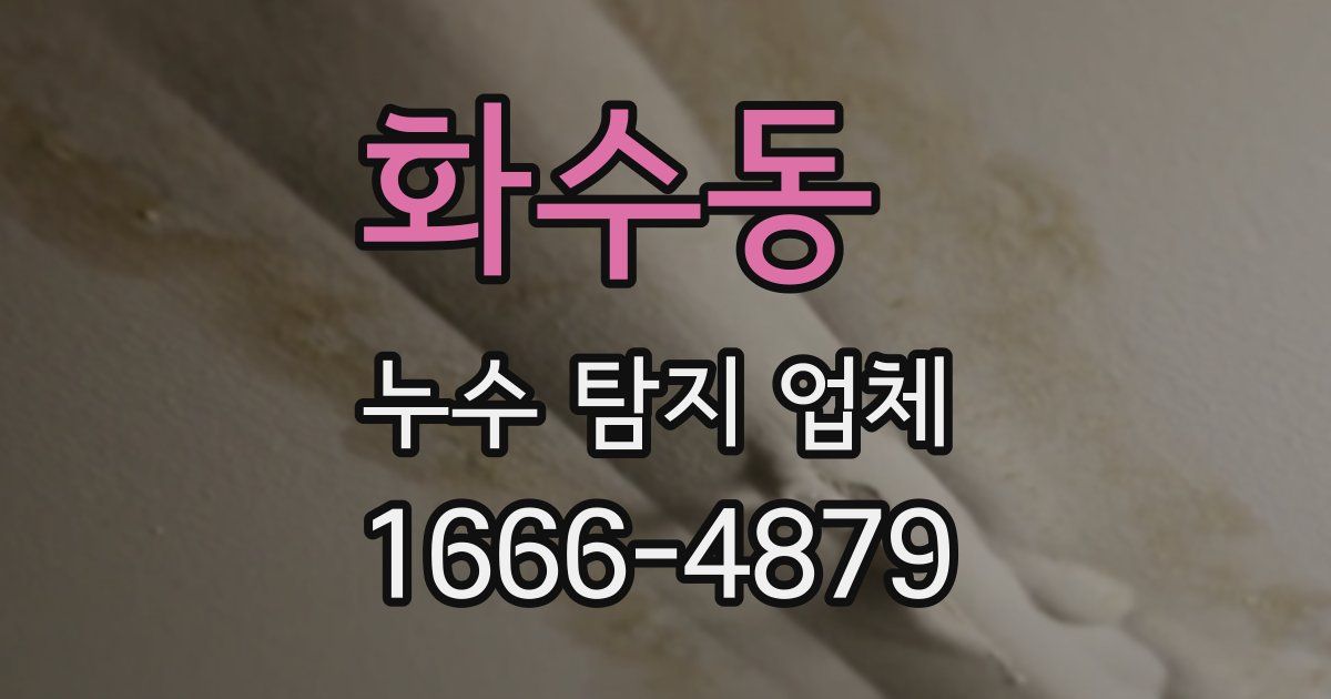 화수동 누수 탐지 업체
