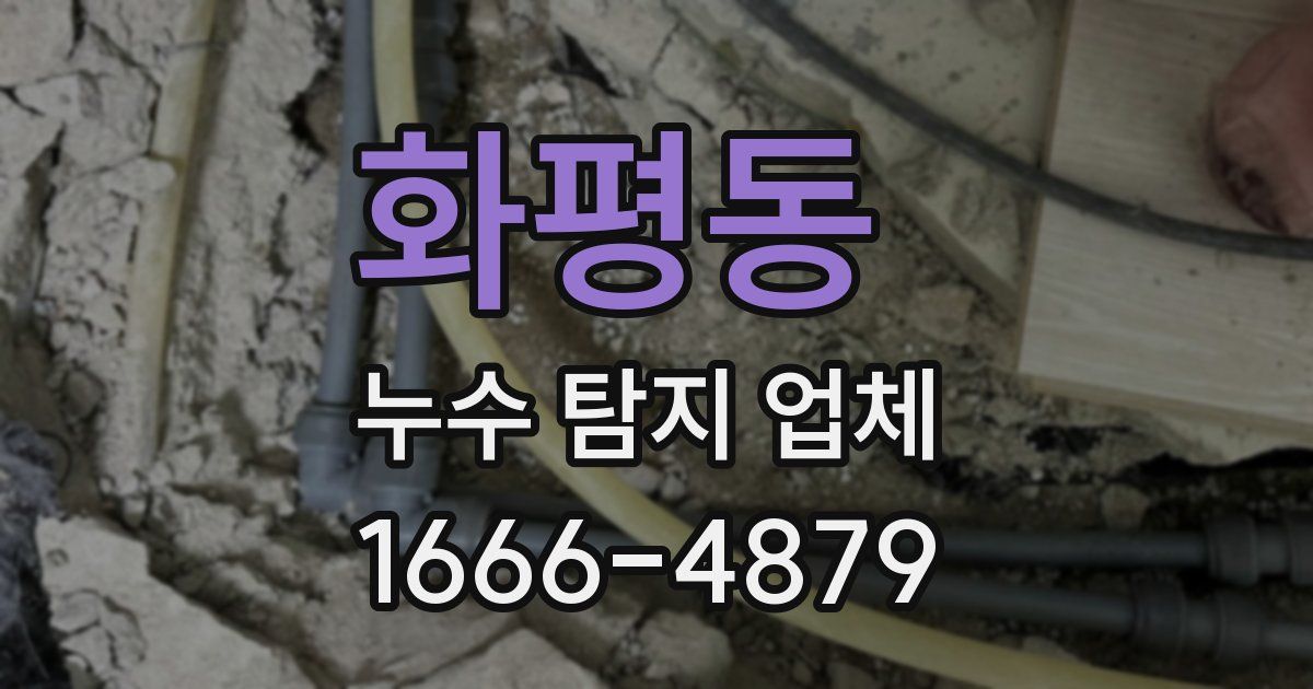 화평동 누수 탐지 업체