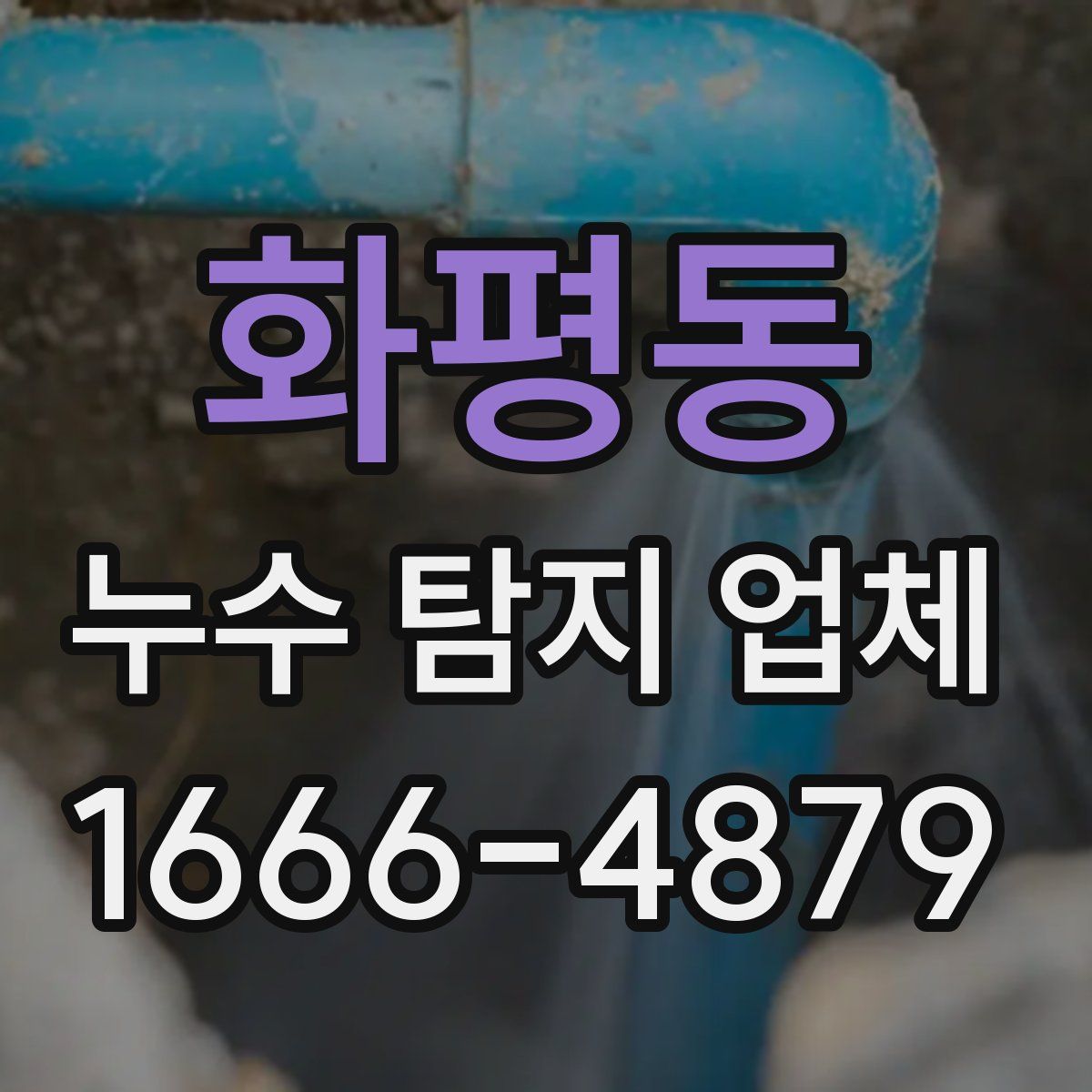 화평동 누수 탐지 업체