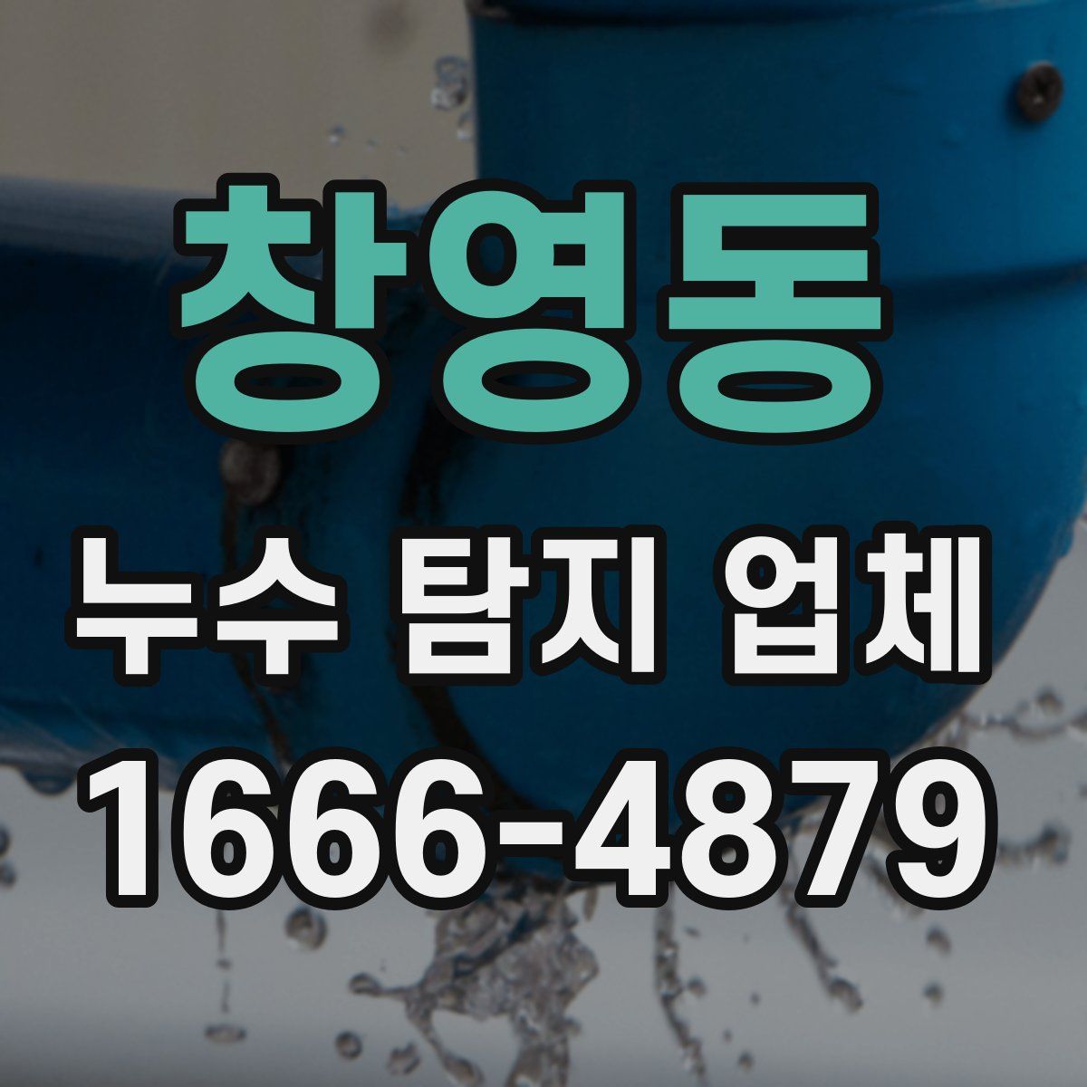 창영동 누수 탐지 업체