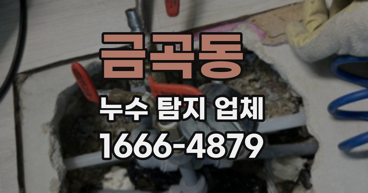 금곡동 누수 탐지 업체