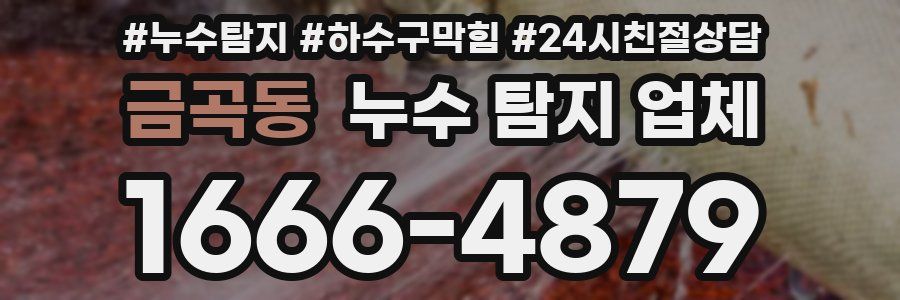금곡동 누수 탐지 업체